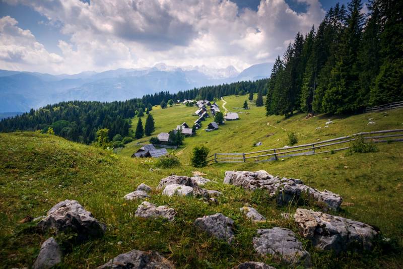 Pokljuka apartma bled