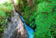 Kamniška Bistrica river